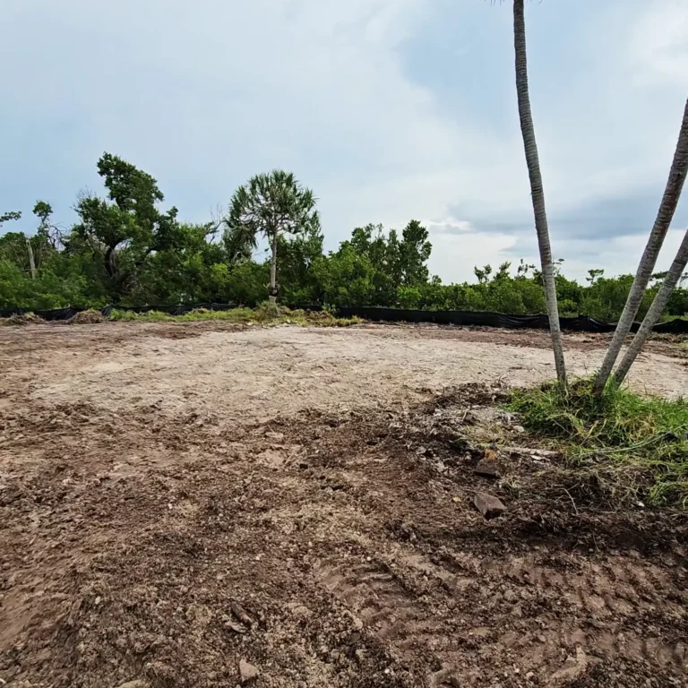 Lot Clearing Demolition and Removal in Southwest Florida.