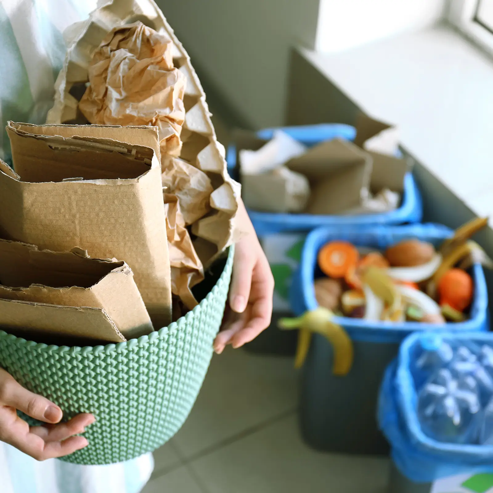 Spring Cleaning Dumpster Rental in Southwest Florida.